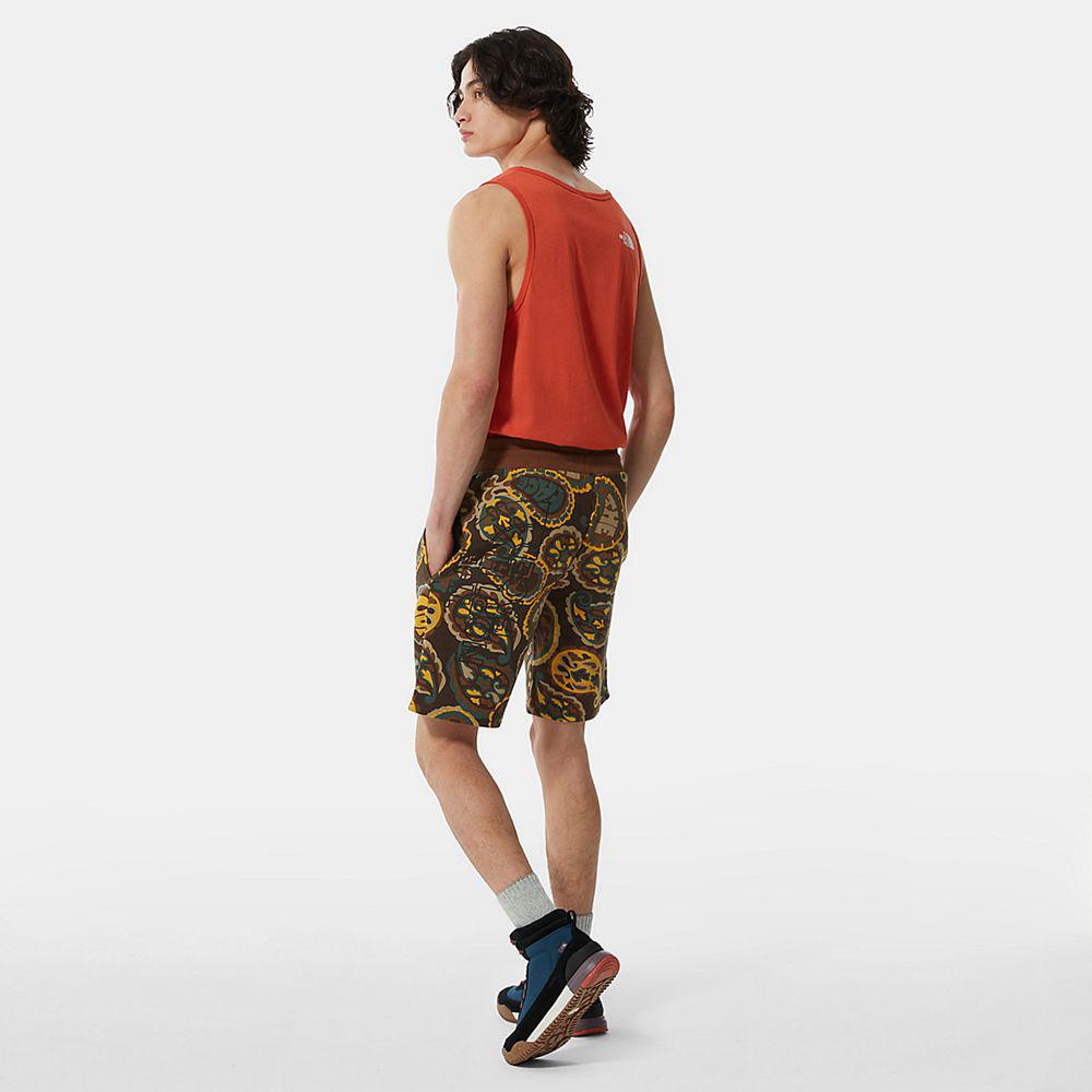 The North Face Summer Ανδρικα Σορτς - Καφε (GXHU90834)